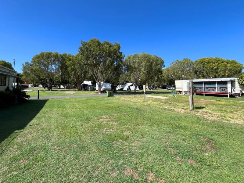 Kirra Beach Premium Dog Friendly Site 1