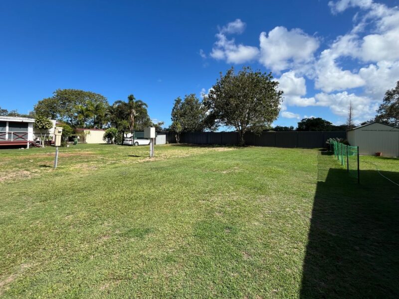 Kirra Beach Premium Dog Friendly Site 3