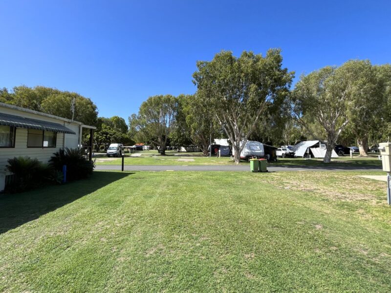 Kirra Beach Premium Dog Friendly Site 4