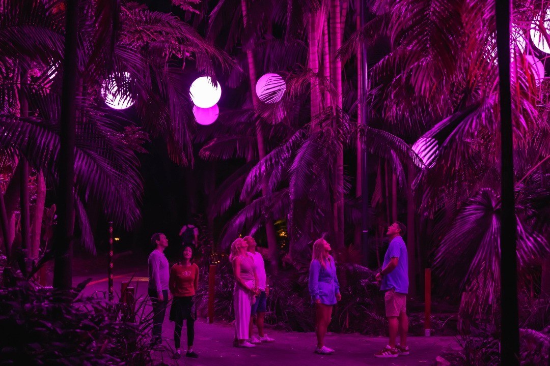 A group of people admire the colourful light spectacle in the rainforest at Currumbin Wildlife Sanctuary.