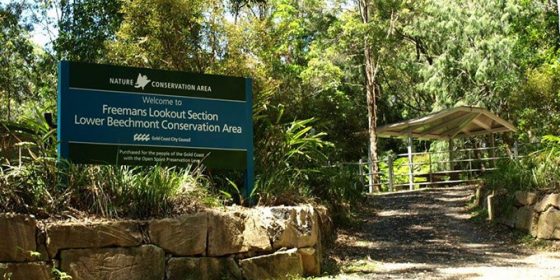 Lower Beechmont Conservation Area - Freemans Road Section