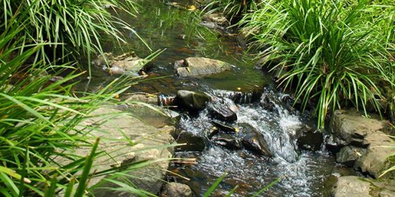 Lower Golden Valley Park