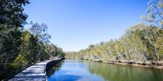Coombabah Lakelands Conservation Area - Myola Court Section