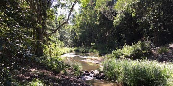 Pocket Road Conservative Area