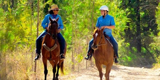 Ruffles Road Reserve - West & East
