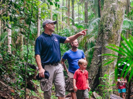 Lamington National Park