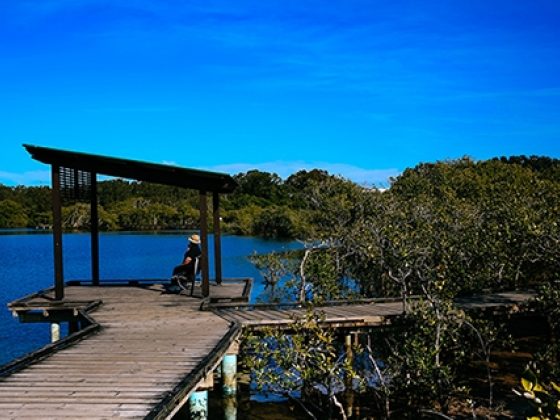 Beree-Badalla Reserve