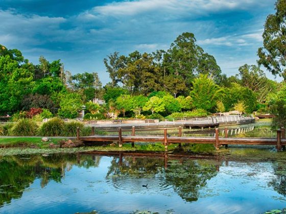 Gold Coast Regional Botanic Gardens