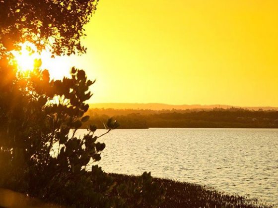 Coombabah Lakelands Conservation Area - Shelter Road Trail