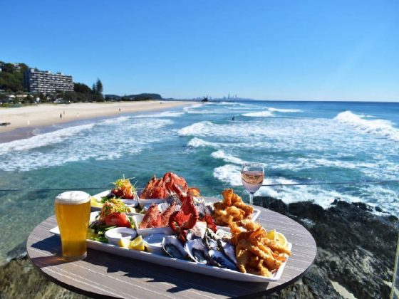 Currumbin Wildlife Sanctuary