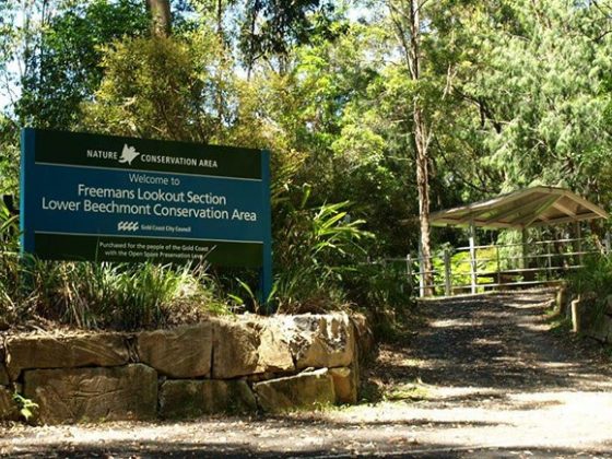 Lower Beechmont Conservation Area - Freemans Road Section