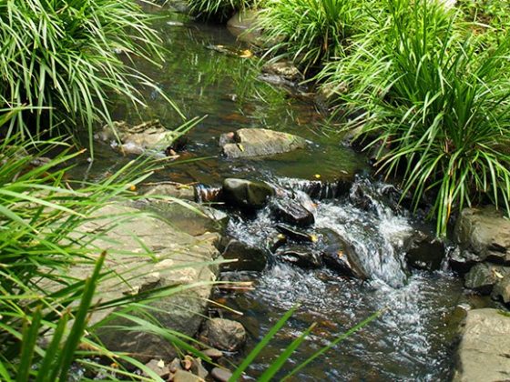 Lower Golden Valley Park