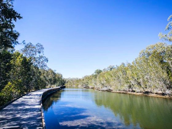 Coombabah Lakelands Conservation Area - Myola Court Section