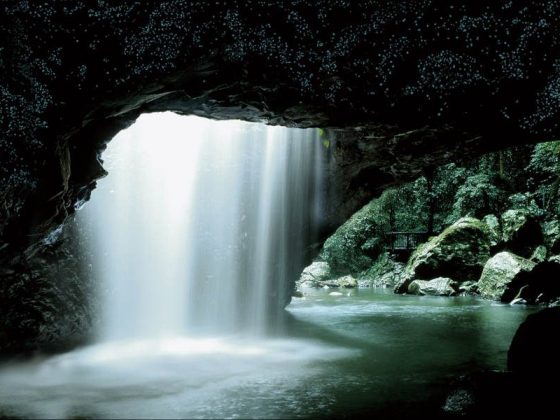 Natural Bridge, Springbrook National Park