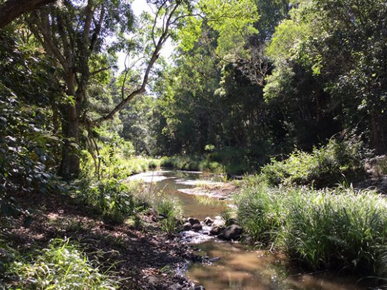 Pocket Road Conservative Area