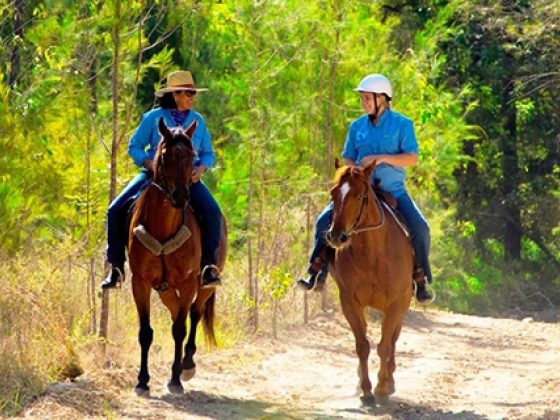 Ruffles Road Reserve - West & East