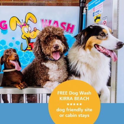 Hot Deal - dog wash, Kirra Beach