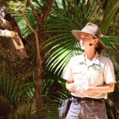 Wild Rangers Show!