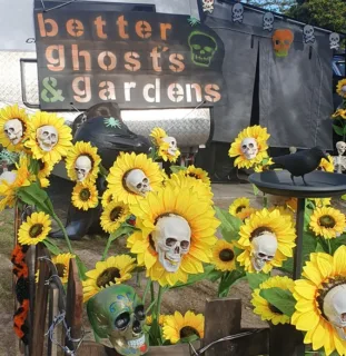 Spooky sunflowers for Halloween